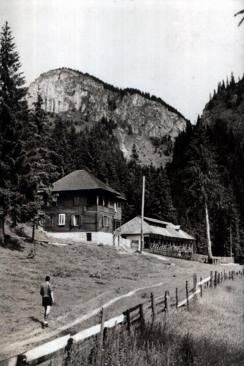 13 ilustrate RPR, alb-negru