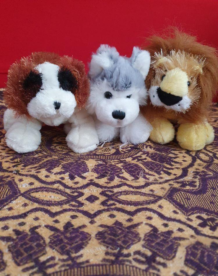 3 Plusuri webkinz