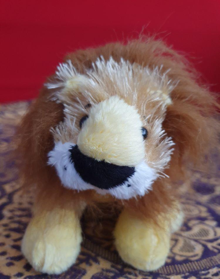 3 Plusuri webkinz