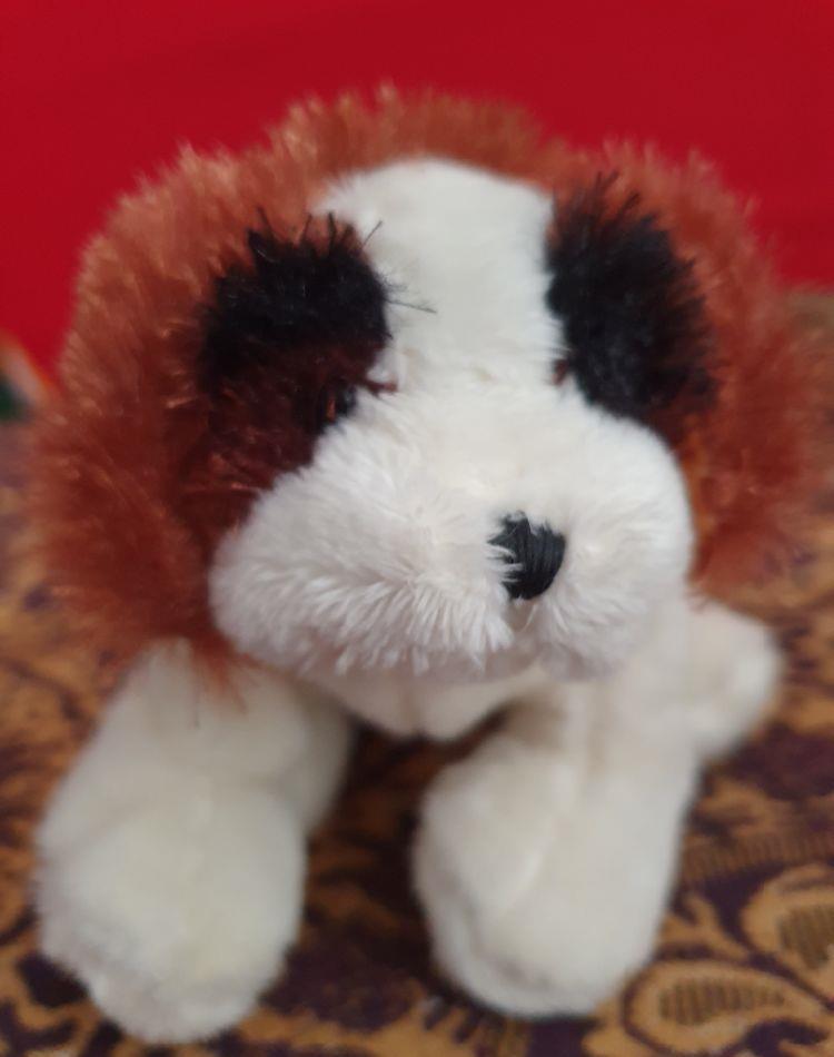3 Plusuri webkinz
