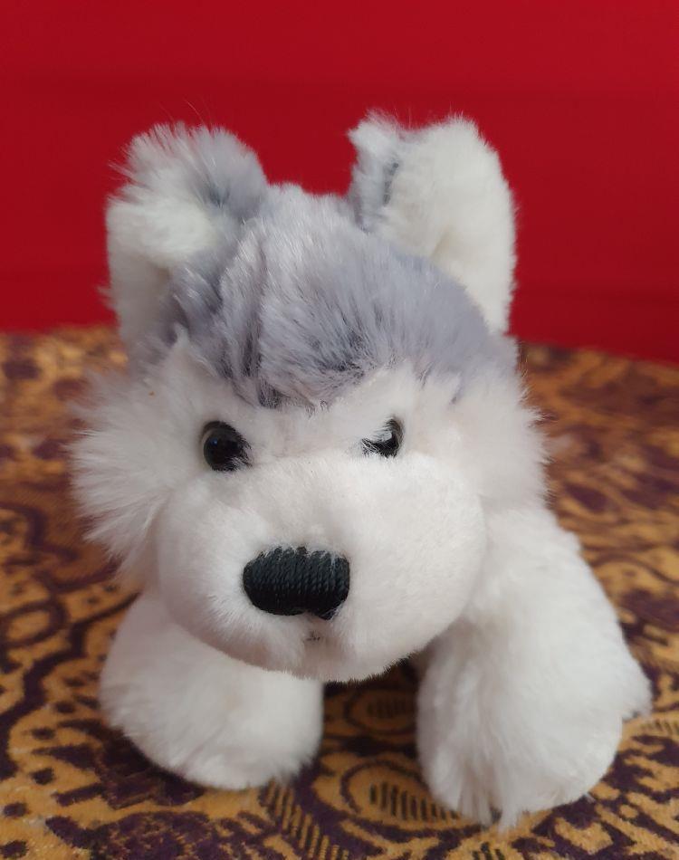 3 Plusuri webkinz