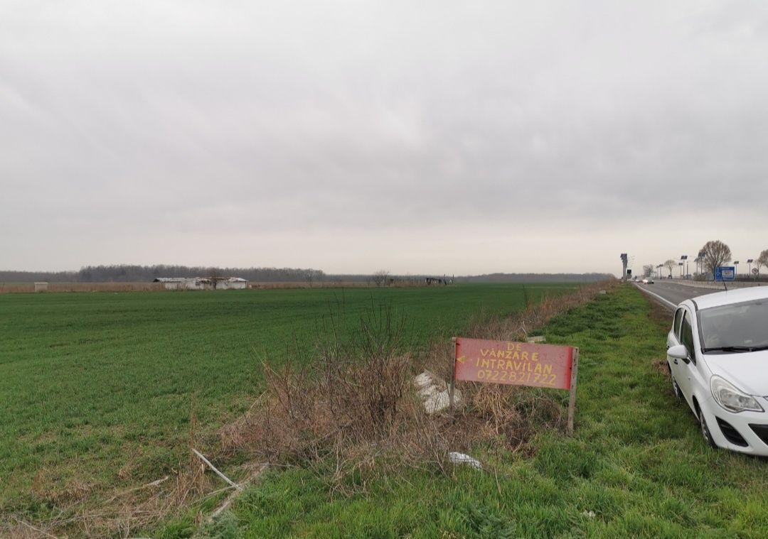 4.5 ha Teren intravilan vizavi de Aeroportul si Baza Nato Kogalniceanu