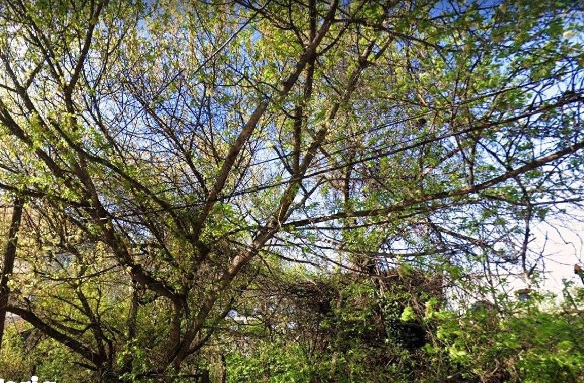 450 mp în cartier rezidențial - zona Unirii-Cantemir