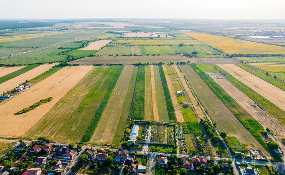 50 ha teren compact, Bujac