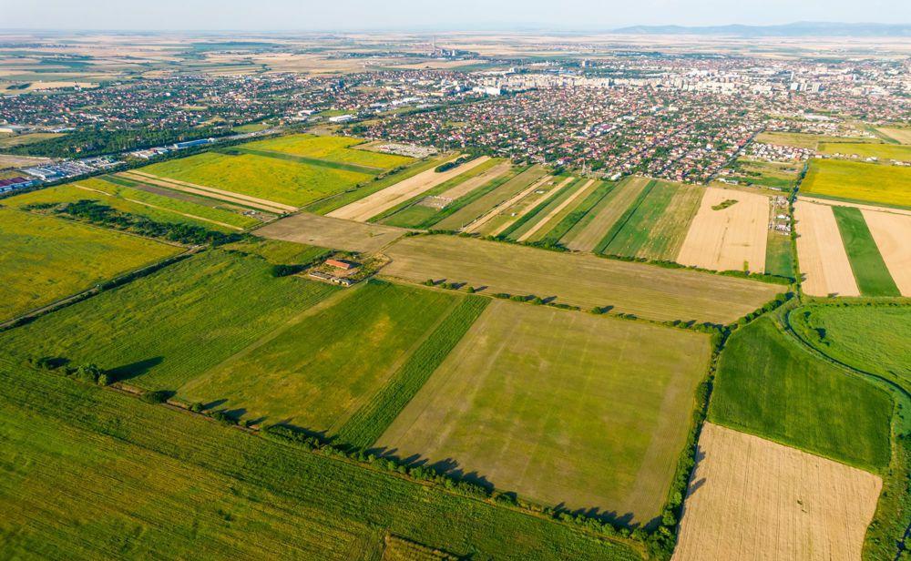 50 ha teren compact, Bujac