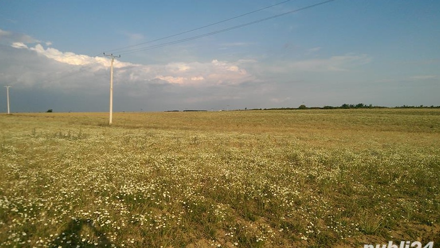 5.5 ha intravilan judetul Olt 3.2 euro/mp comasat 100%