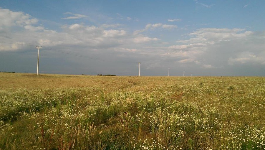 5.5 ha intravilan judetul Olt 3.2 euro/mp comasat 100%