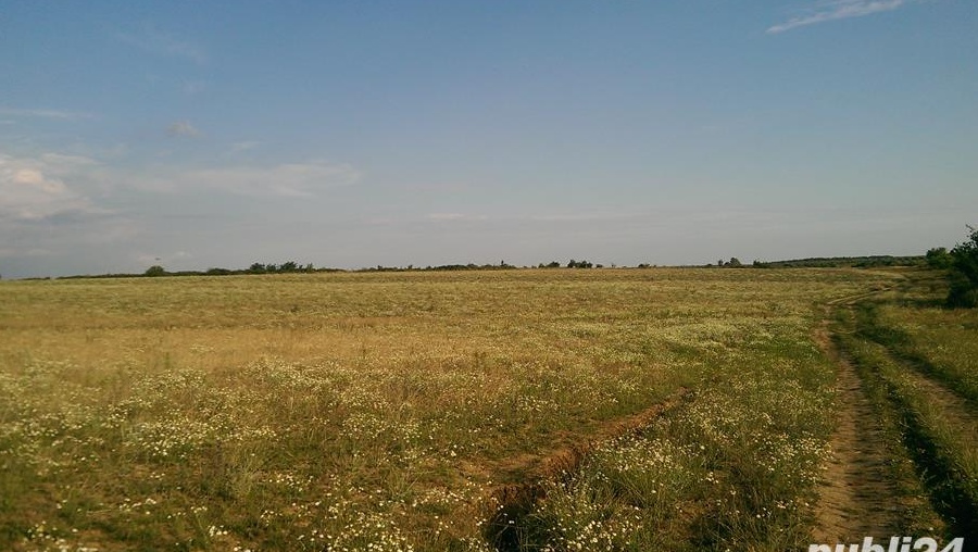 5.5 ha intravilan judetul Olt 3.2 euro/mp comasat 100%