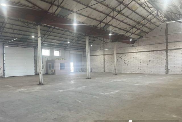 592 mp. hala depozitare/productie zona S Timisoara