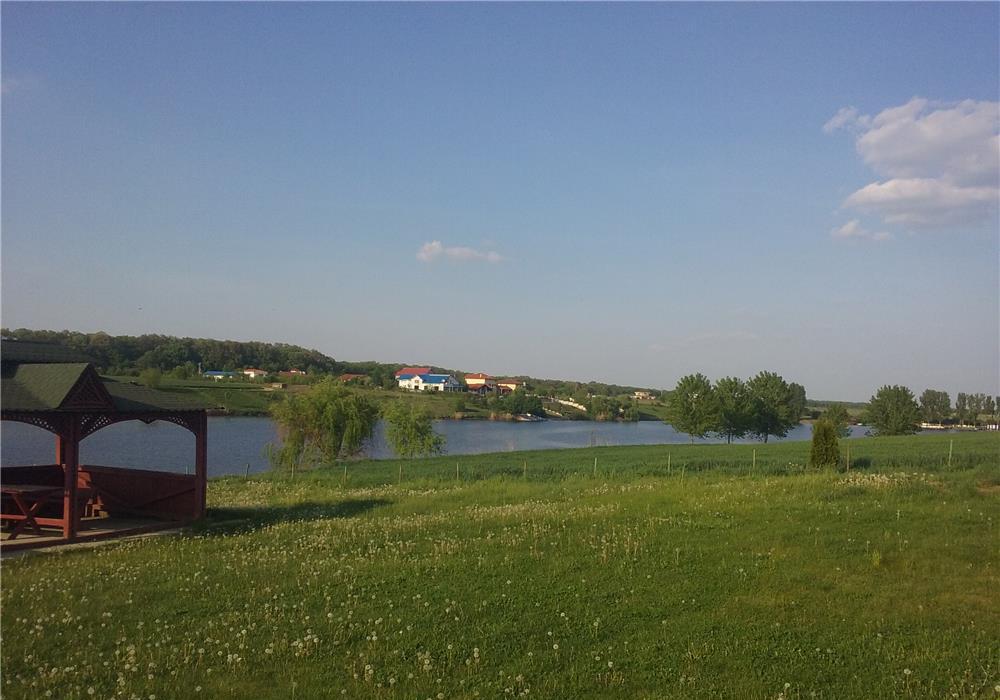 7648 MP TEREN BALOTESTI CU ACCES LAC SI LATURA PADURE .
