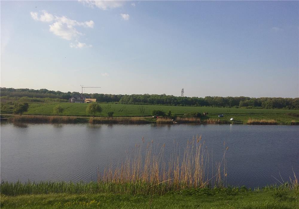 7648 MP TEREN BALOTESTI CU ACCES LAC SI LATURA PADURE .