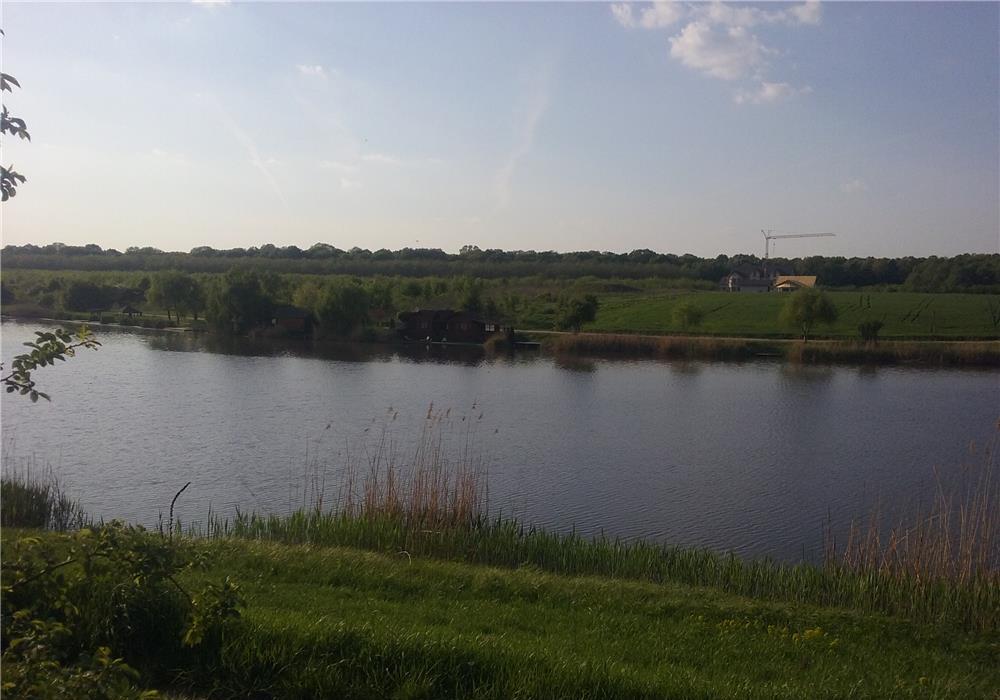 7648 MP TEREN BALOTESTI CU ACCES LAC SI LATURA PADURE .