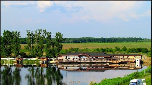 7648 MP TEREN BALOTESTI CU ACCES LAC SI LATURA PADURE .