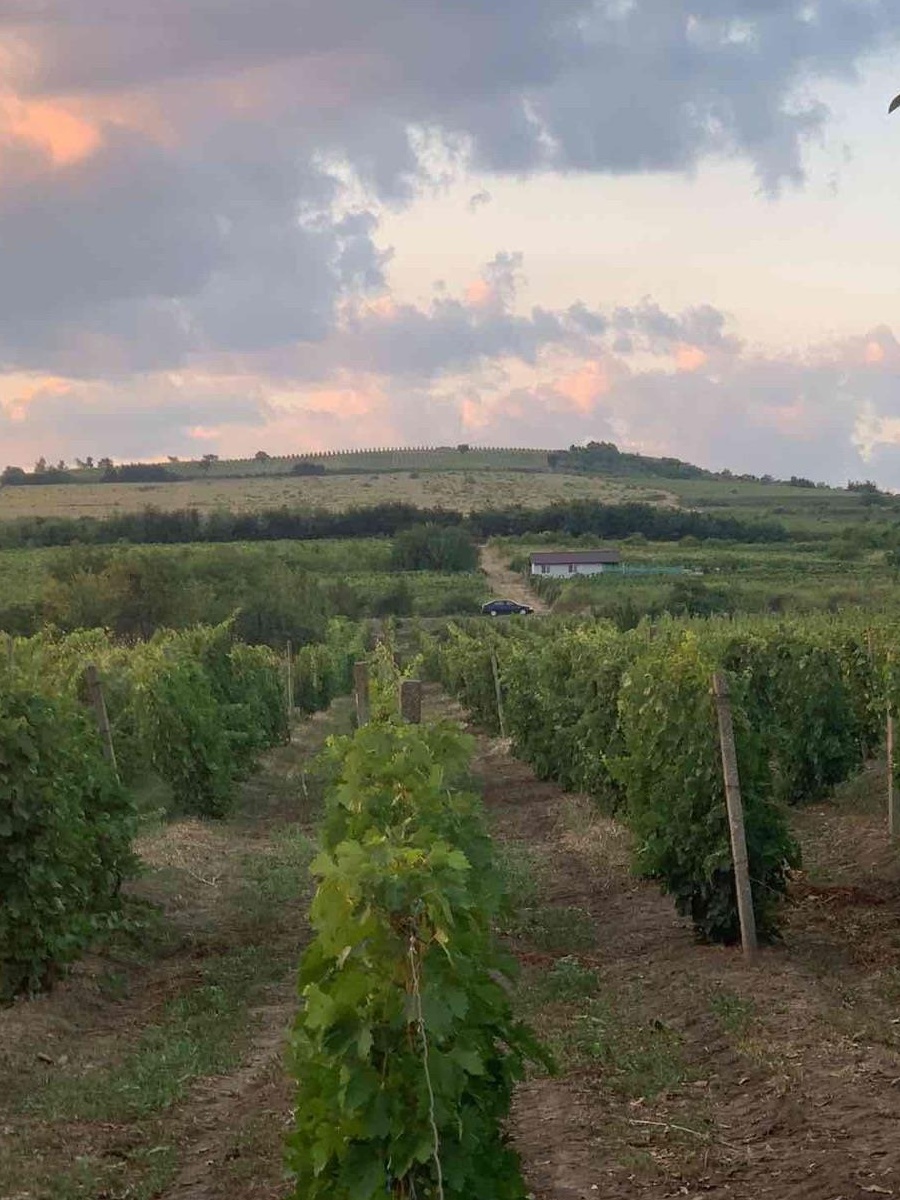 8  teren intravilan in valea calugareasca