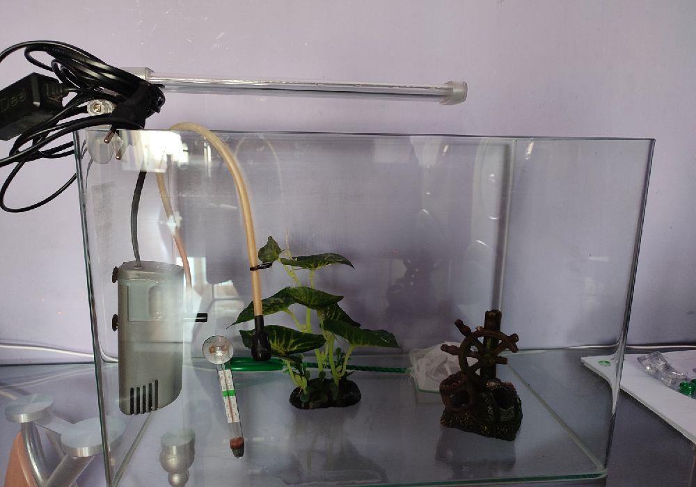 acvariu cu accesorii
