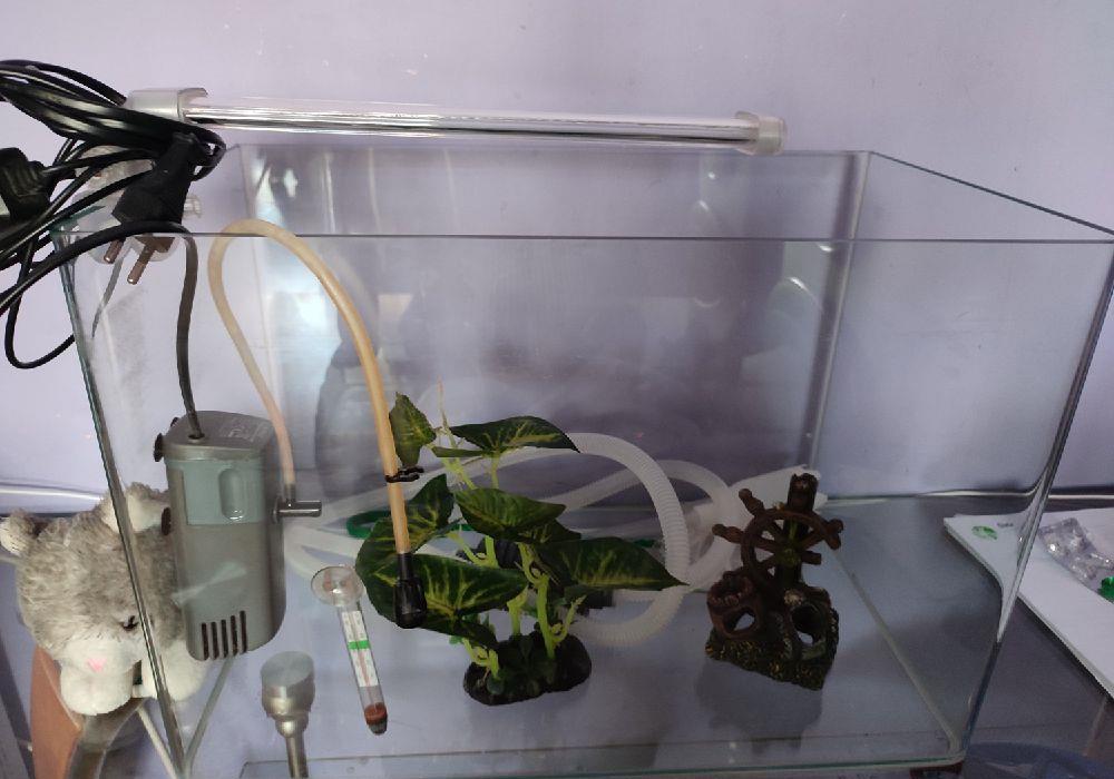 acvariu cu accesorii