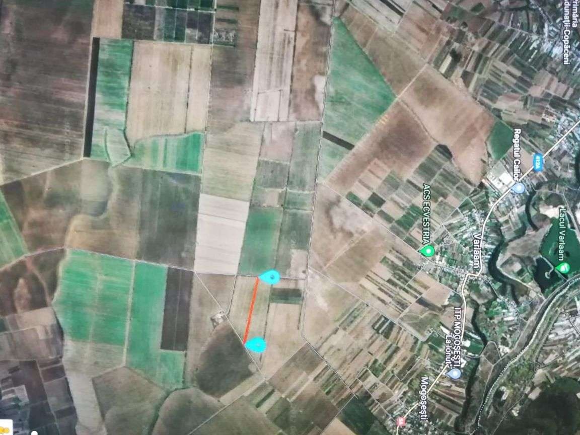 Adunatii Copaceni 10 e mp
