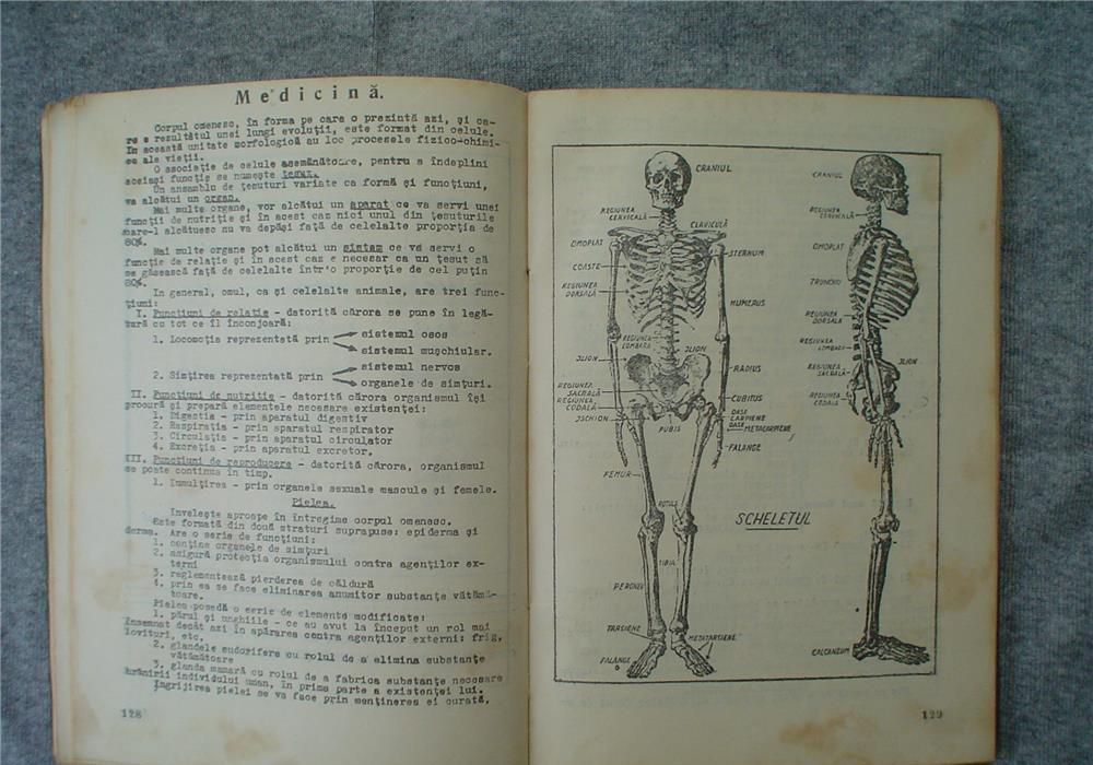 Agenda Enciclopedica 1944