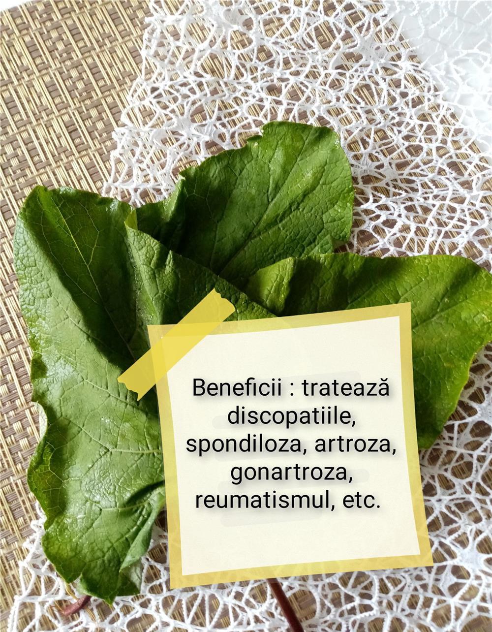 Alifie 100%naturală de brusture