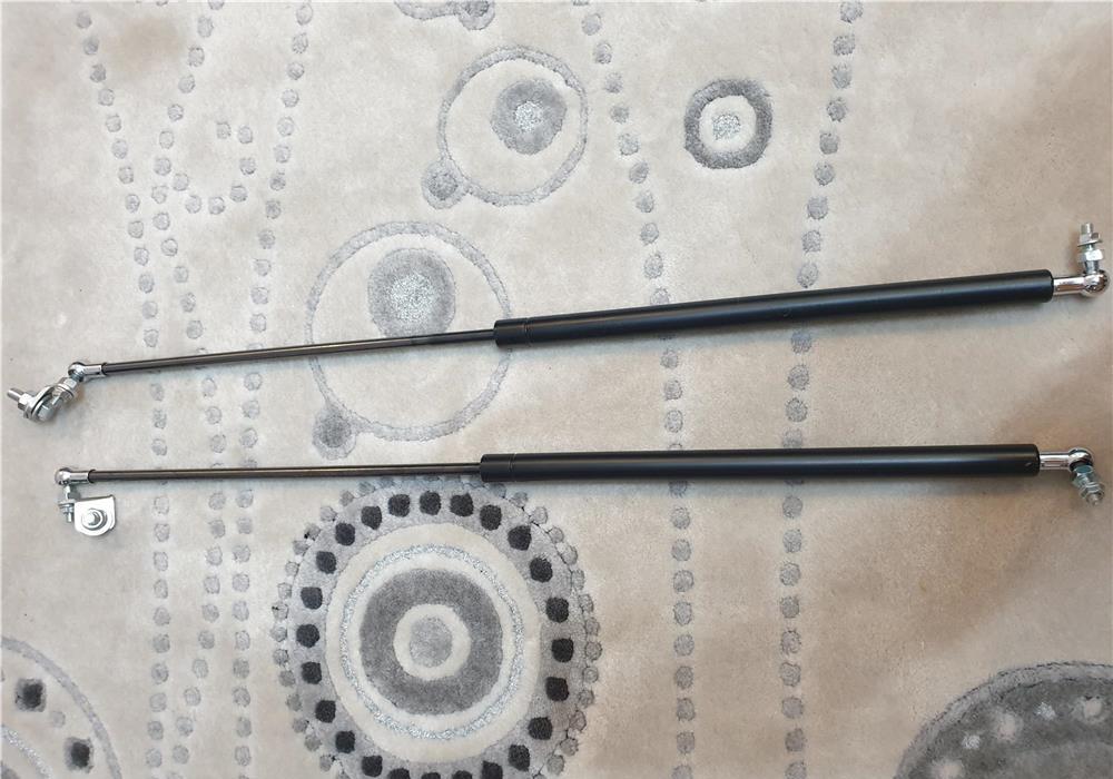 Amortizoare capota Honda Civic X noi