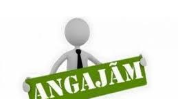 Angajam magazioner