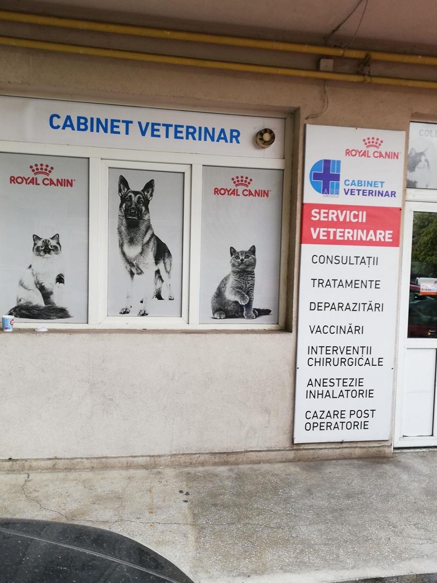 Angajam MEDIC VETERINAR