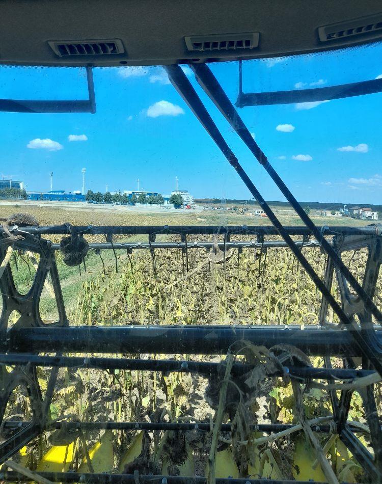 Angajez personal pentru lucrări agricole