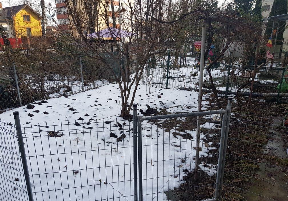 Apartament 2 camere, cu beci si gradina