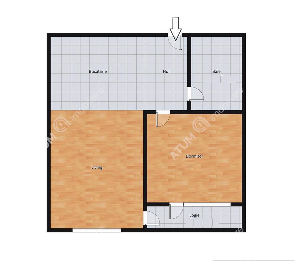 Apartament cu 2 camere de vanzare zona Doamna Stanca