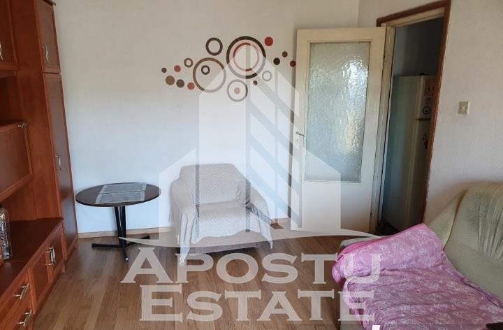 Apartament cu o camera Calea Sagului