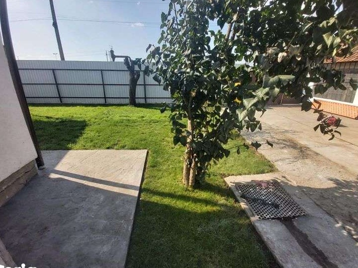 Apartament/casa la curte in Curtici