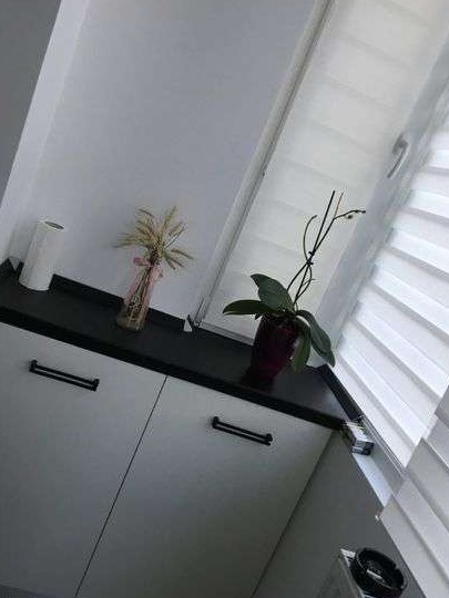 Apartatent 2 camere