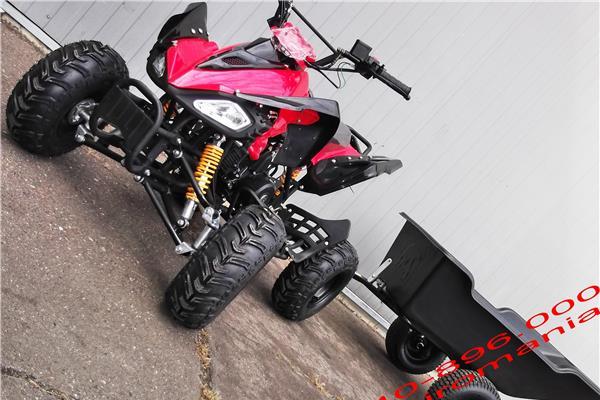 Atv NEW Yamaha Raptor Replica 125 Auto