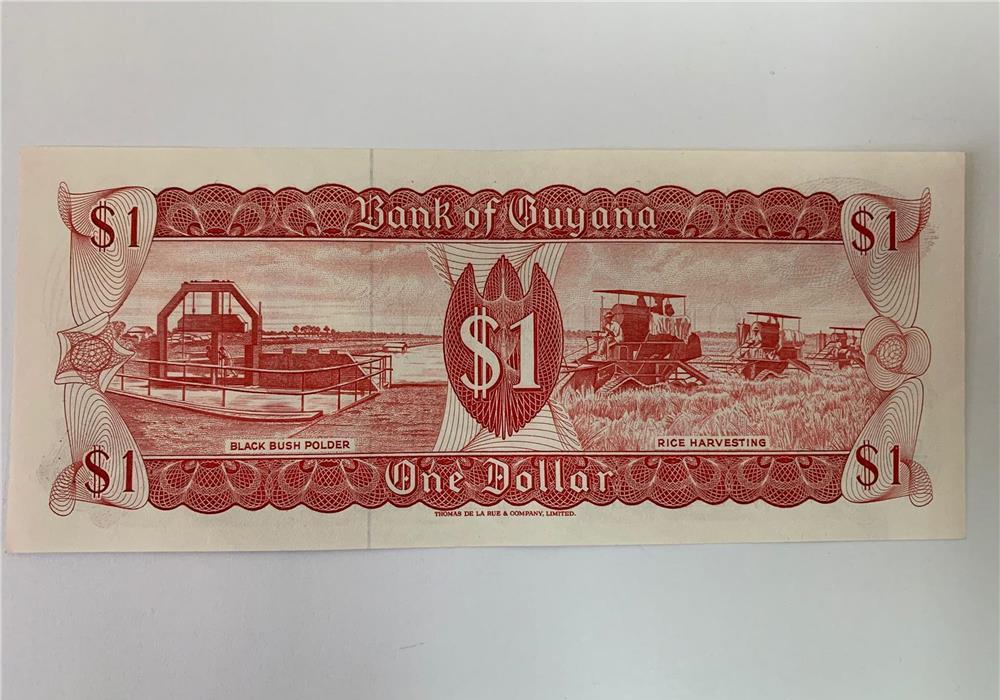 Bancnota 1 DOLAR - 1989 - Guyana Guiana - P-21f