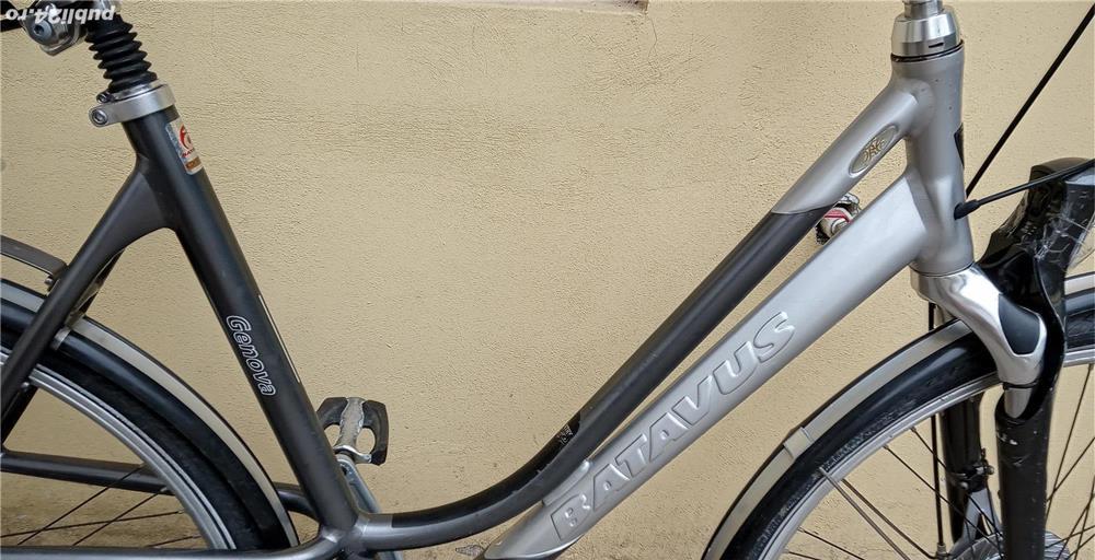 Batavus aluminiu viteze butuc