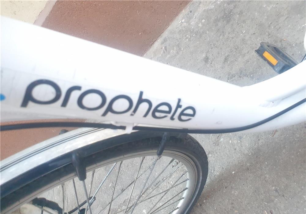 Bicicleta asistata electric