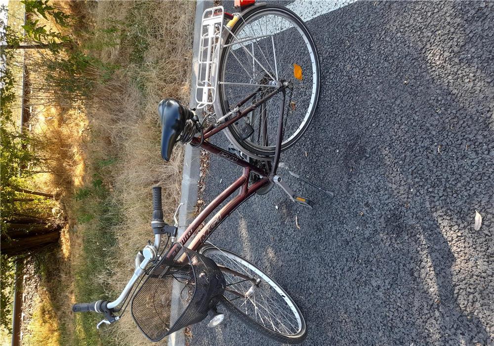 Bicicleta dama