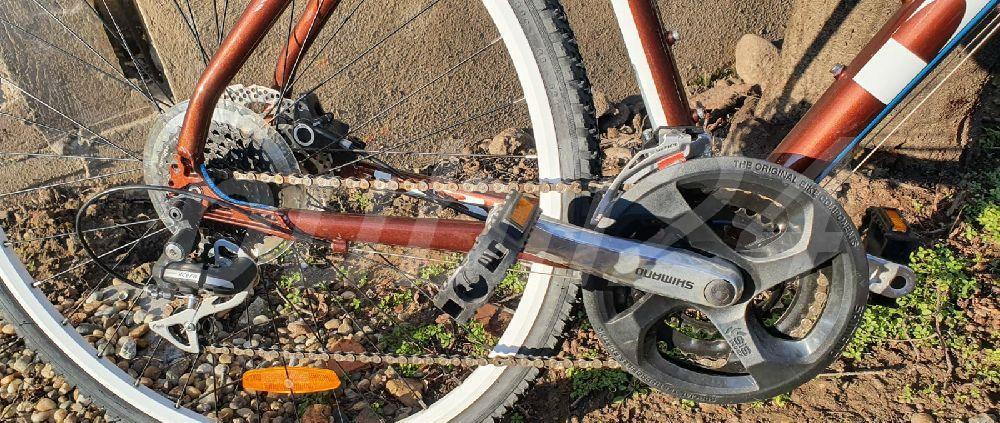 Bicicleta dama DBS