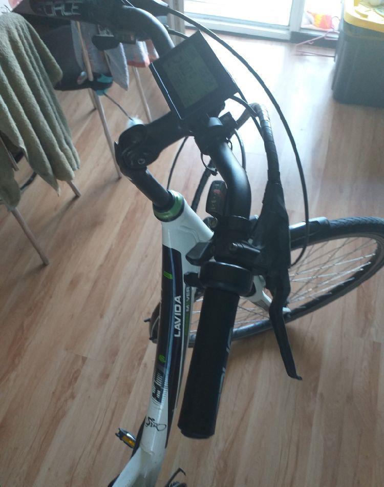 bicicleta electrica lavida green mover