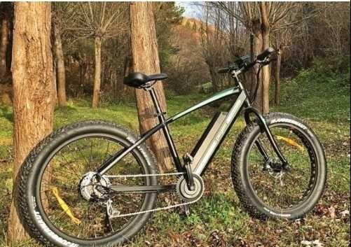 Bicicleta Electrica Pegas Suprem Dinamic 2400KM Constanta