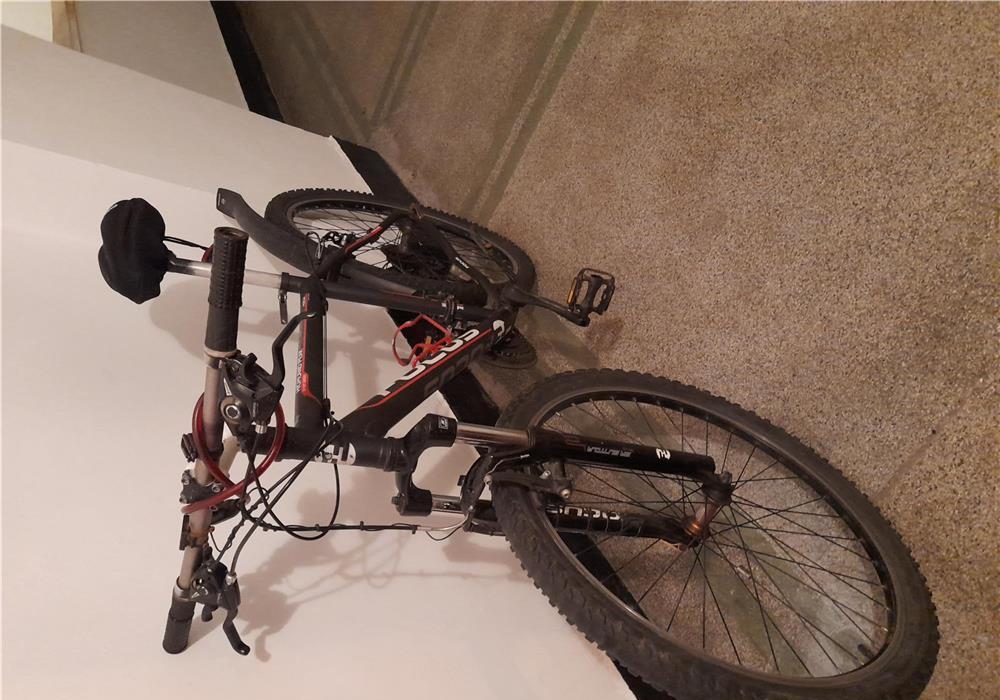 Bicicleta FOCUS