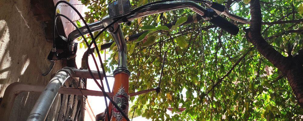 Bicicleta Pegas Popular