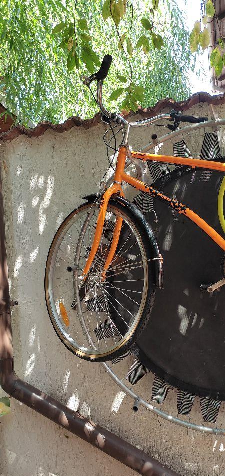 Bicicleta Pegas Popular