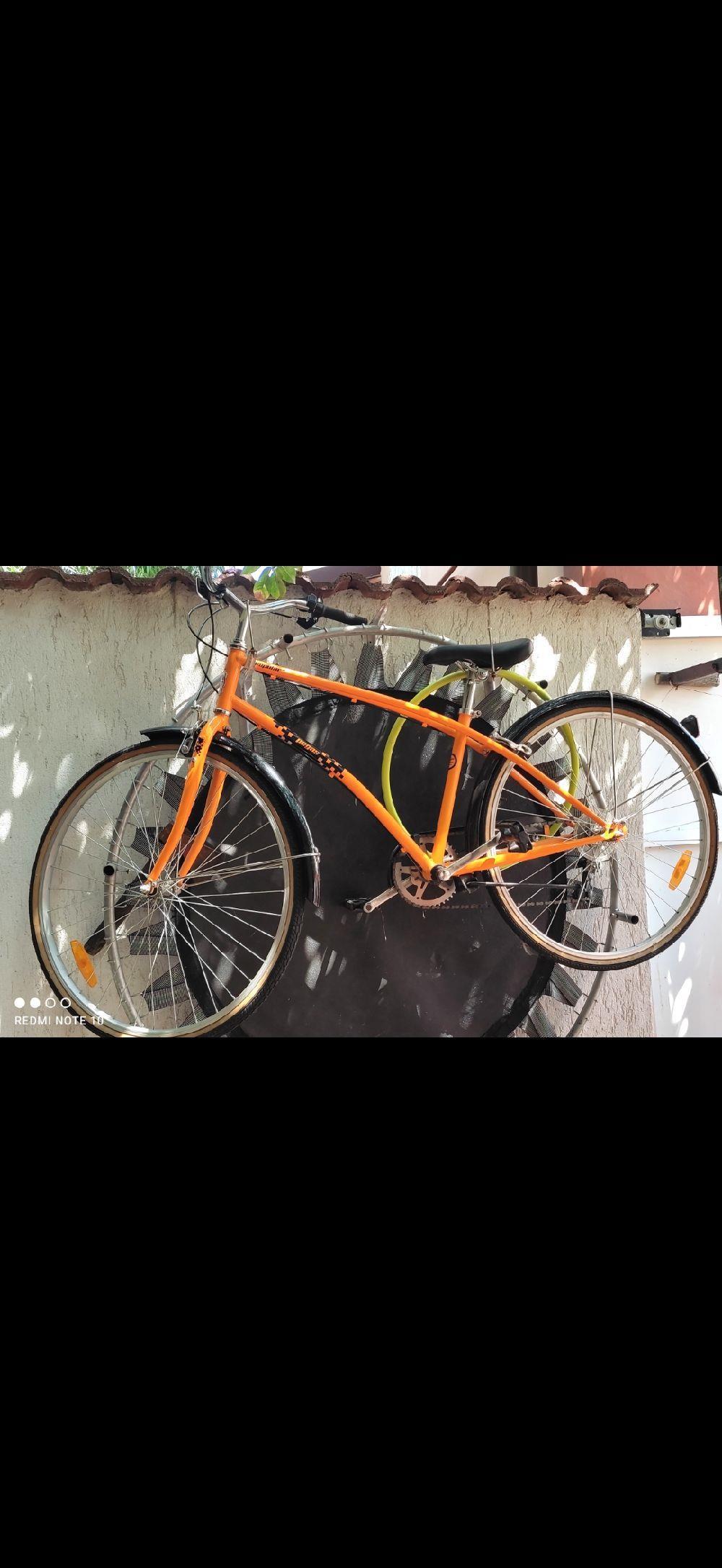 Bicicleta Pegas Popular