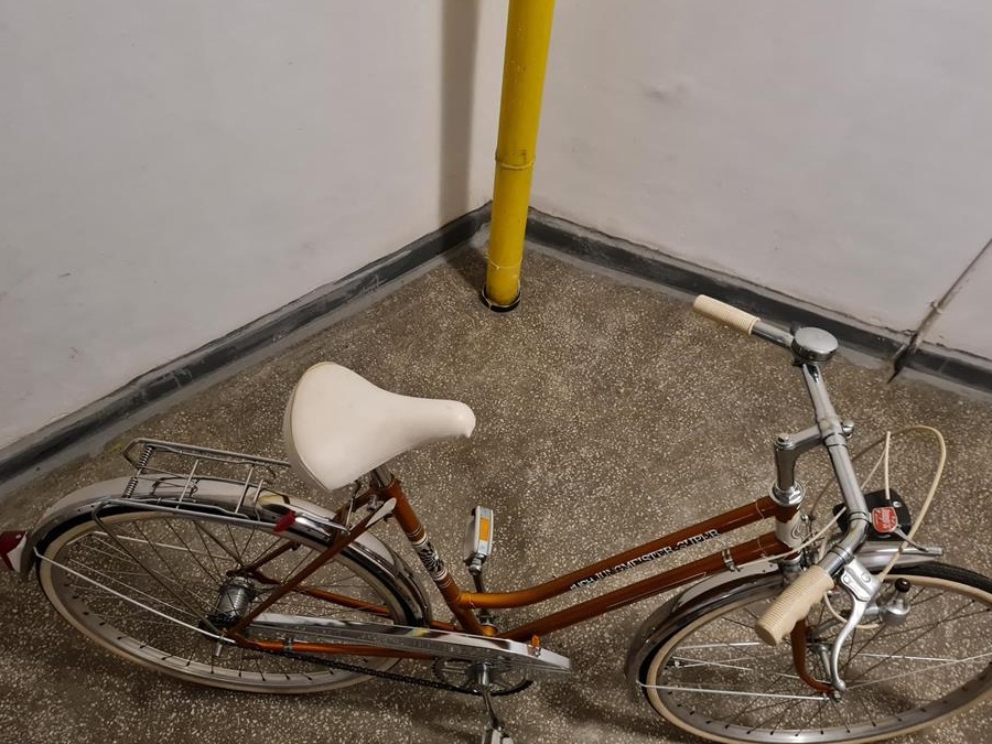 Bicicleta PUCH, austriaca de dama, pentru oras