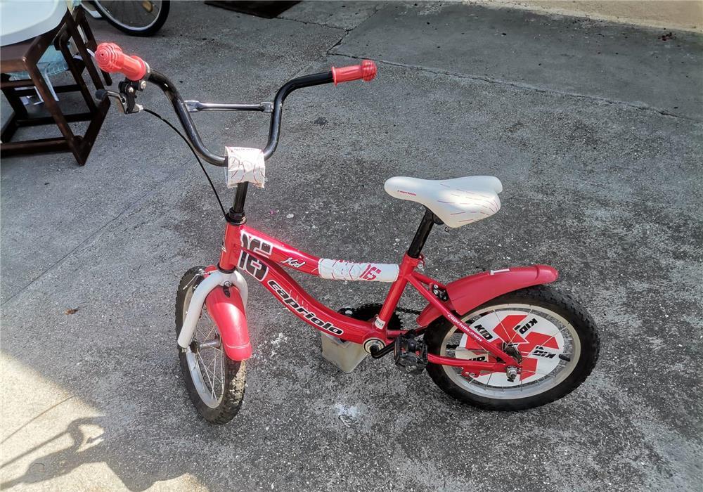 Bicicleta Trekking Bulls 28', Capriolo 16', Fold 20'