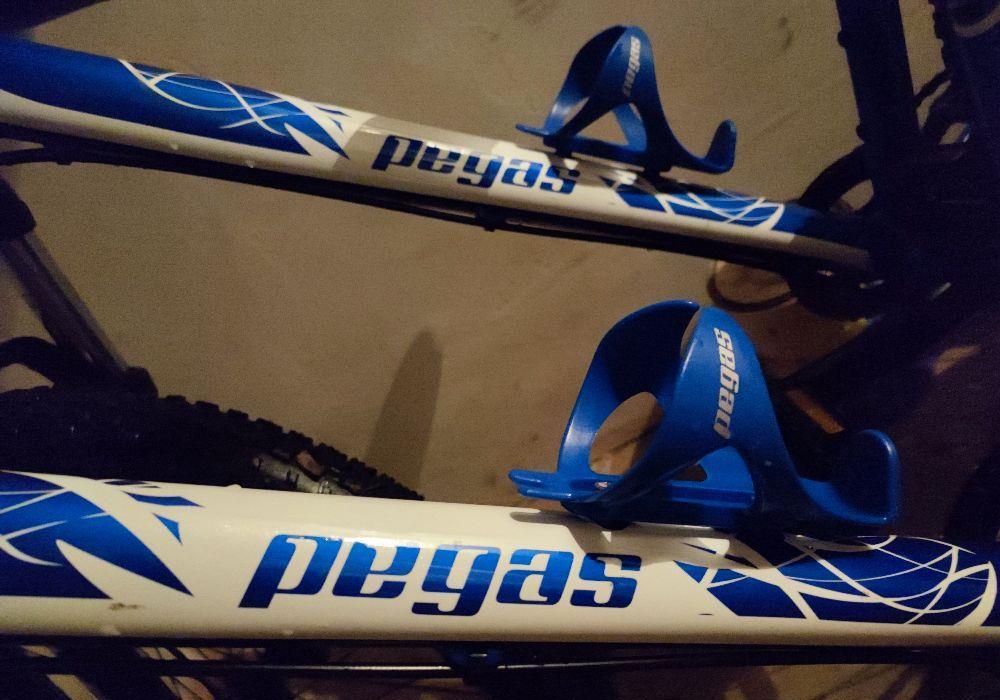 Biciclete Pegas MTB drumuri grele