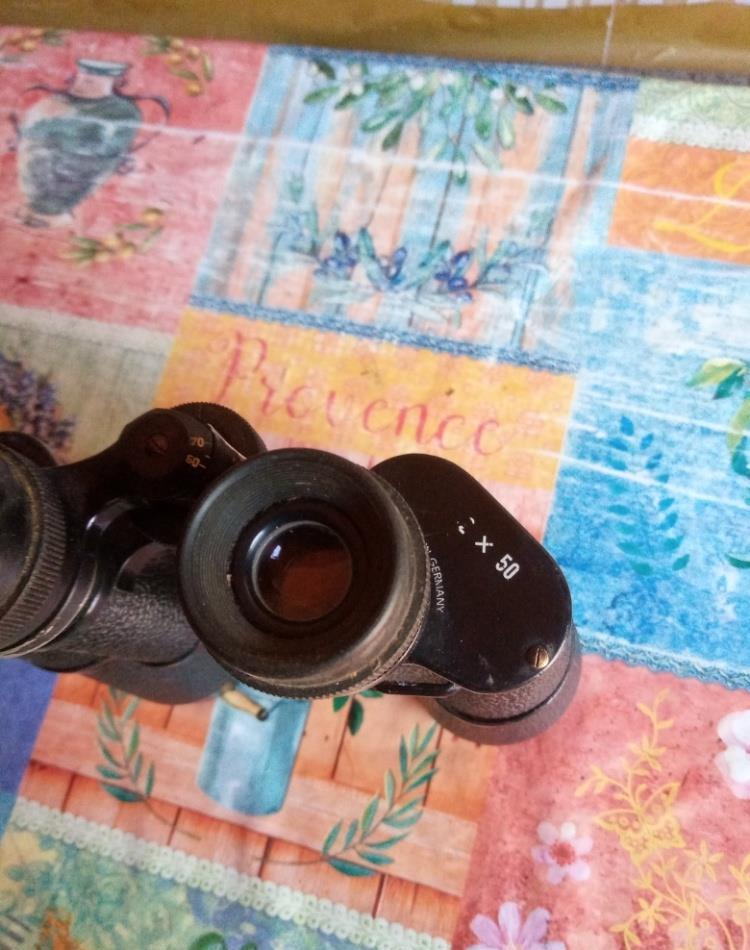 binoclu 12x50 apolo