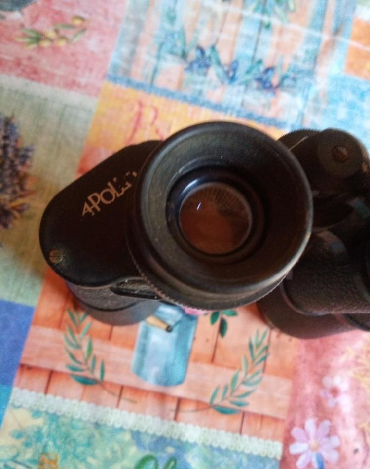 binoclu 12x50 apolo