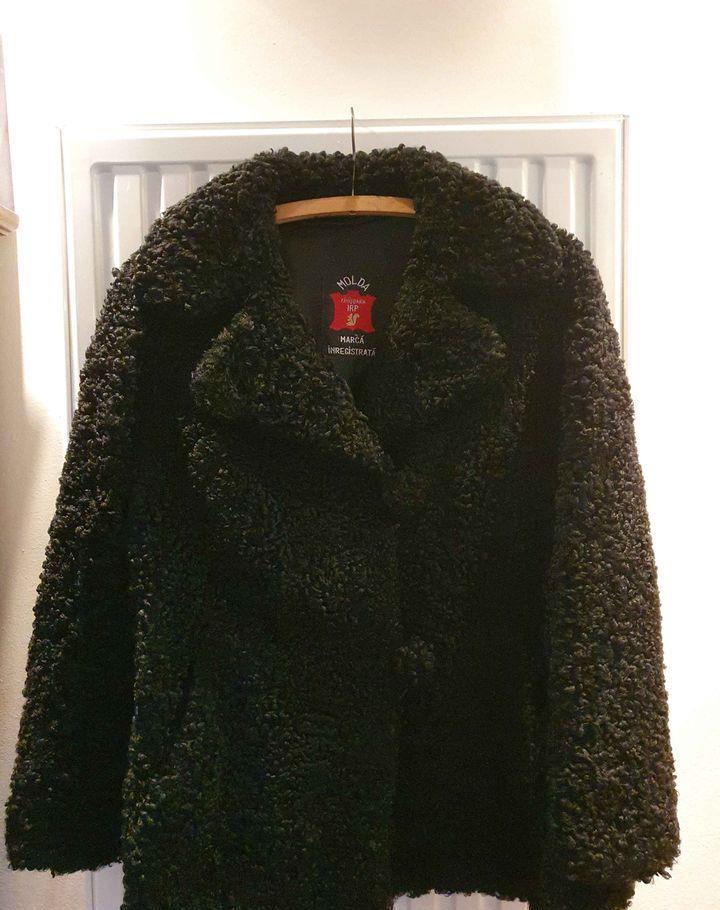 Blana scurta Astrahan nr.48